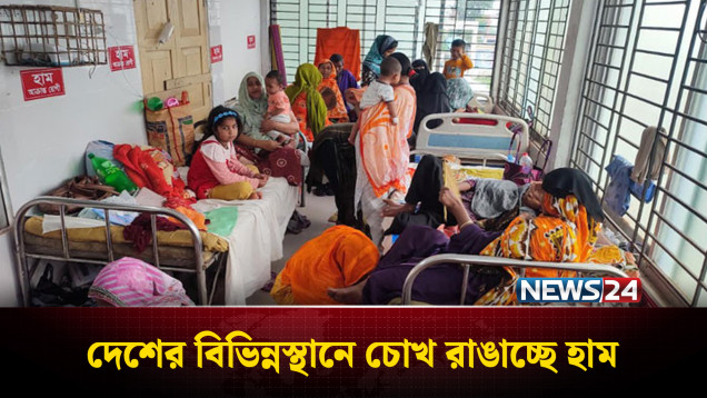 হঠাৎ দেশের বিভিন্ন স্থানে বাড়ছে হা'ম আক্রান্তের সংখ্যা | News24