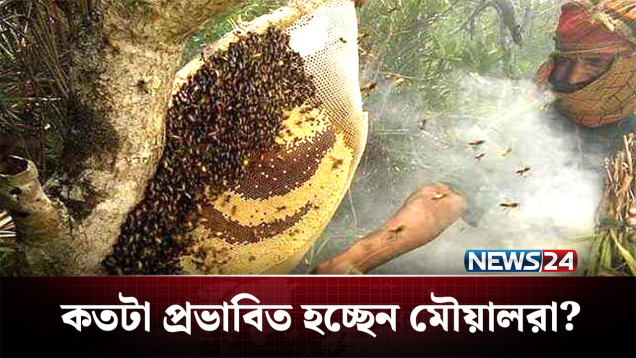 পশ্চিমবঙ্গে ভোটের উত্তাপ, কতটা প্রভাবিত হচ্ছেন মৌয়ালরা? | Kolkata | News24