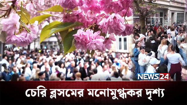 বসন্তের রঙে রাঙা এখন জার্মানির বন শহর | Germany | News24