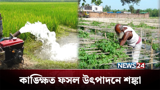 ডিজেল ও বিদ্যুৎ সংকট: ভালো ফলন হবে কী এবার? | Agriculture | NEWS24