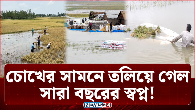 তলিয়ে গেছে হাজার হেক্টর বোরো ধান: দিশেহারা হাওরের কৃষক | Agriculture | NEWS24