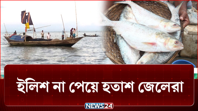 নদী চড়ে বেড়াচ্ছেন জেলেরা কিন্তু কাঙ্ক্ষিত ইলিশ কোথায়? | Hilsa fish | NEWS24