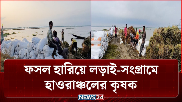 ফসল হারিয়ে লড়াই-সংগ্রা'মে হাওরাঞ্চলের কৃষক | Moulvibazar | News24