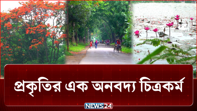 প্রকৃতির এই ফুলেল পরিবেশ যেন ক্লাসের বাইরে এক নতুন পাঠশালা | Jahangirnagar University | NEWS24