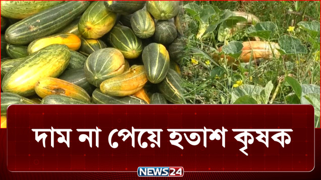 ধার-দেনা নিয়ে বাঙ্গি চাষ করে কপালে এখন চিন্তার ভাঁজ! | Agriculture | NEWS24