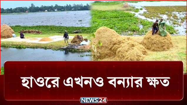 শেষ বয়সে বিশ্রামের জায়গায় কঠোর পরিশ্রমে এক দম্পতি | Agriculture | NEWS24