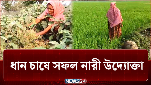 পরিশ্রম আর সাহস পুঁজি নিয়ে সফল আলিবুন নেছা! | Paddy | NEWS24