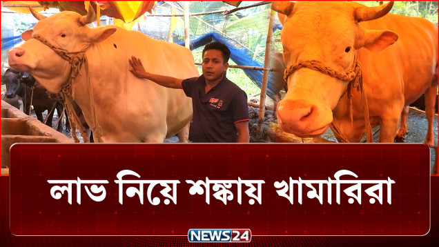 শেষ মুহুর্তে ভারতীয় গরু আসলে কী হবে খামারিদের? | Eid | Cow | NEWS24
