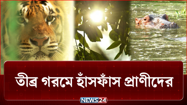 তীব্র গরমে কেমন আছে চিড়িয়াখানার প্রাণীরা? | National Zoo | NEWS24