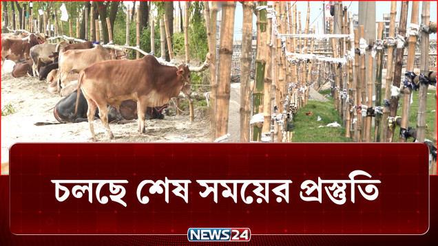 ঈদকে ঘিরে বাড়ছে পশুর হাটের প্রস্তুতি ও ব্যস্ততা | Eid Ul Adha | NEWS24
