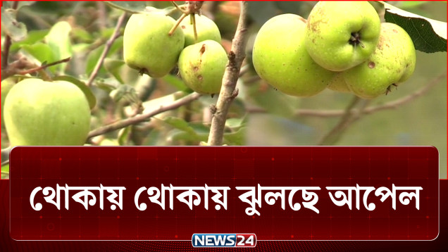 ভারতের প্রশিক্ষণ কাজে লাগলো বাংলাদেশে, এবার মিললো ফল | Apple | NEWS24