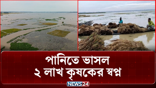জলাবদ্ধতায় ফসল হারিয়েছেন পাঁচ জেলার দুই লাখের বেশি কৃষক | Haor Crop Damage | NEWS24