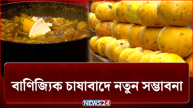 ঘ্রাণ ও খাবারের স্বাদে ভিন্নমাত্রা এনে দেয় সিলেটের সাতকড়া | Sylhet Satkara | NEWS24