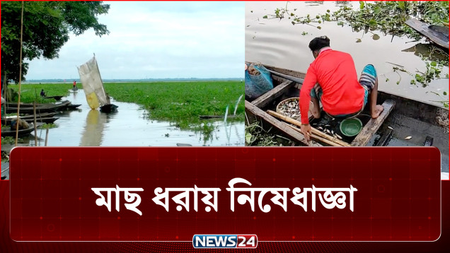 হাওরাঞ্চলে প্রথমবারের মত মাছ ধরায় নিষেধাজ্ঞা দিলা সরকার | Fishing | NEWS24
