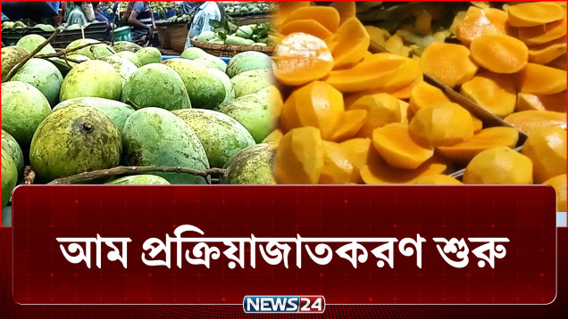 যন্ত্রের মাধ্যমে তৈরি হচ্ছে ড্রাইড ম্যাংগো বা শুকনো আম | Mango | NEWS24