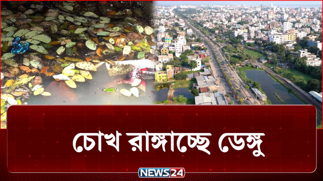 চোখ রাঙ্গাচ্ছে ডেঙ্গু, সিটি কর্পোরেশনকে সতর্ক করে চিঠি! | Dengue | NEWS24
