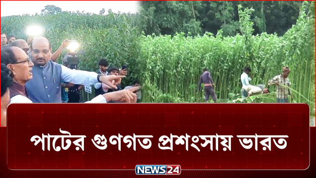 বাংলাদেশি পাটের ভূয়সী প্রশংসায় ভারত | Jute | India | NEWS24