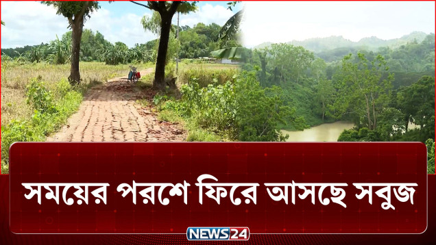 ধ্বংসের মধ্যেও যেন লুকিয়ে আছে নতুন জীবন! | Flood | NEWS24