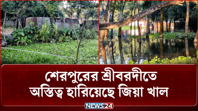 শেরপুরে শহীদ জিয়ার নিজ হাতে খনন করা খাল এখন অস্তিত্ব সংকটে | Sherpur Canal | NEWS24