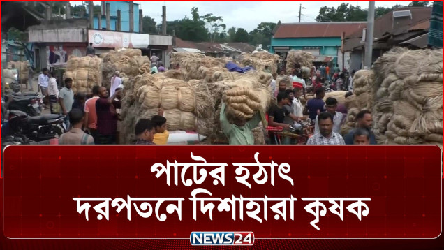 নড়াইলে পাটের হঠাৎ দরপতনে দিশাহারা কৃষক | Jute Price | News24