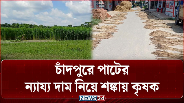 চাঁদপুরে পাটের আশাতীত ফলন, তবে ন্যায্য দাম নিয়ে শঙ্কা | Chandpur | News24