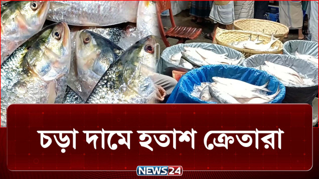ইলিশের সরবরাহ কম, খালি হাতে ফিরছেন ক্রেতারা | Hilsa fish | NEWS24
