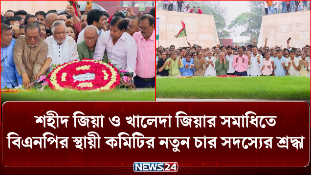 নির্বাচনী ইশতেহার বাস্তবায়নে কাজ করার ঘোষণা বিএনপির নতুন চার স্থায়ী কমিটির সদস্যের | BNP | NEWS24