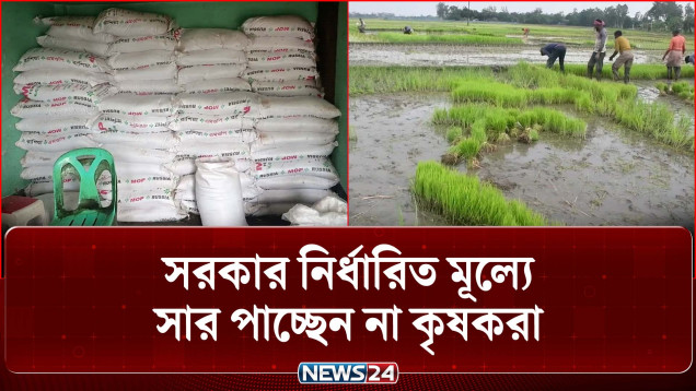সরকার নির্ধারিত মূল্যে সার পাচ্ছেন না জয়পুরহাটের কৃষকরা | Fertilizer Price | News24 | NEWS24