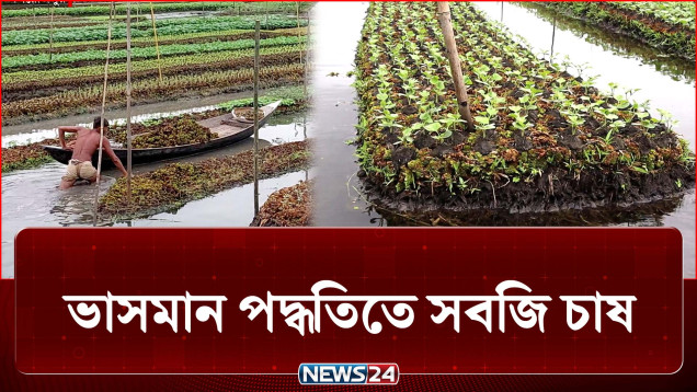 পিরোজপুরের নাজিরপুরে ভাসমান পদ্ধতিতে সবজি চাষ | Agriculture | NEWS24