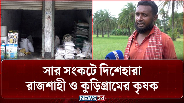 সার সংকটে দিশেহারা রাজশাহী ও কুড়িগ্রামের কৃষক | Fertilizer Crisis | News24