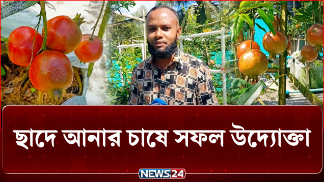 শখ থেকেই খুলে গেল আয়ের পথ | Rooftop Garden | NEWS24