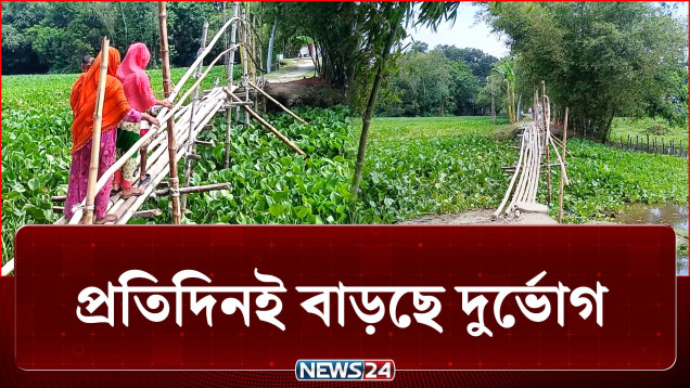 এখন বাঁশের সাঁকোই যখন একমাত্র ভরসা! | Bridge | News24