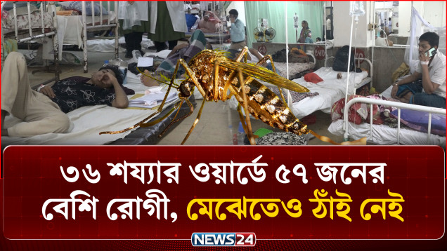 ডেঙ্গুর ভয়াবহ রূপ: ৩৬ শয্যার ওয়ার্ডে ৫৭ জনের বেশি রোগী | Dengue Update | News24
