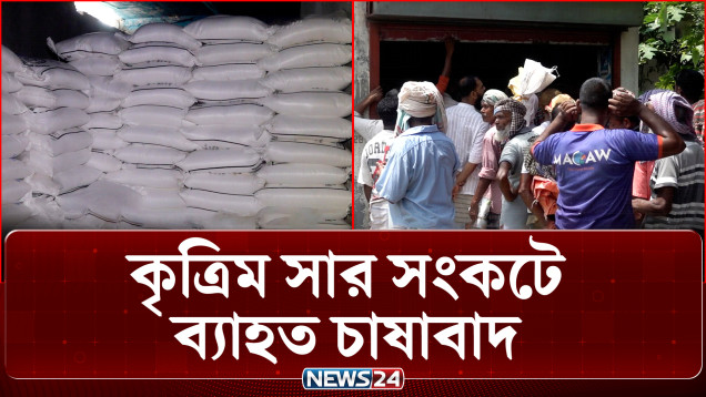 কৃত্রিম সার সংকটে ব্যাহত উত্তরের জেলাগুলোর চাষাবাদ | Fertilizer Crisis | News24