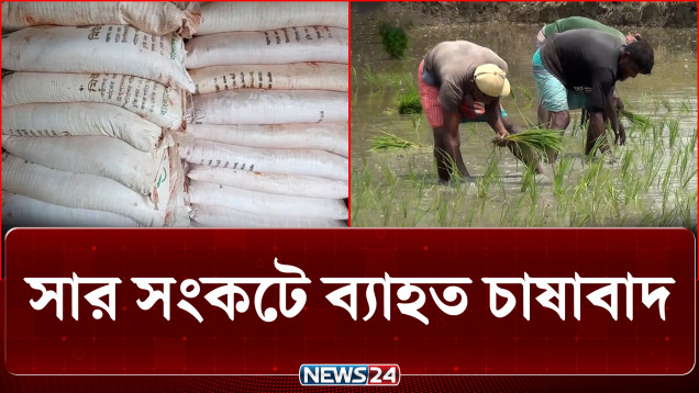 জামালপুরে সার সংকটে ব্যাহত চাষাবাদ | Fertilizer Crisis | News24