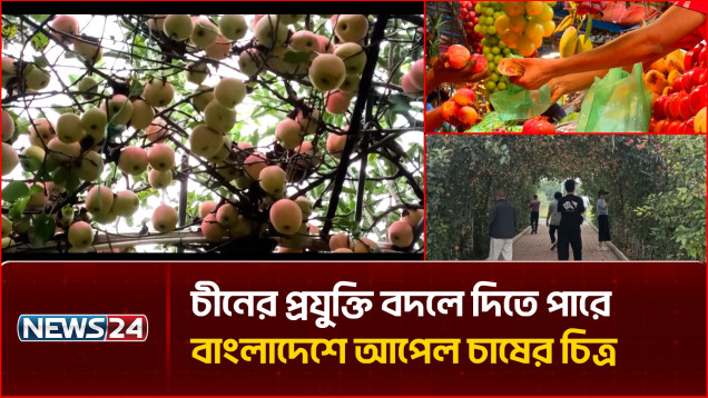 দেশে আপেল চাষে সম্ভাবনা, চীনের সহযোগিতা নেয়ার পরামর্শ বিশেষজ্ঞদের | China Apple | NEWS24