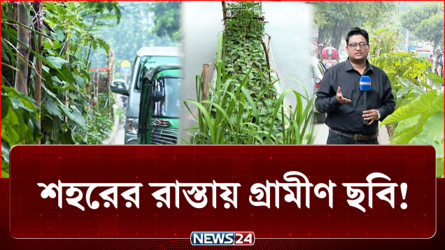 ঢাকার রাস্তায় সবজি চাষ! এ যেন শহরের রাস্তায় গ্রামীণ ছবি | Dhaka | Road Farming | NEWS24