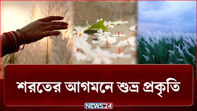 প্রকৃতিতে শরতের বার্তা, ঢাকার ব্যস্ততায় কীভাবে ধরা দিচ্ছে শরৎ? | Beauty Of Autumn | NEWS24