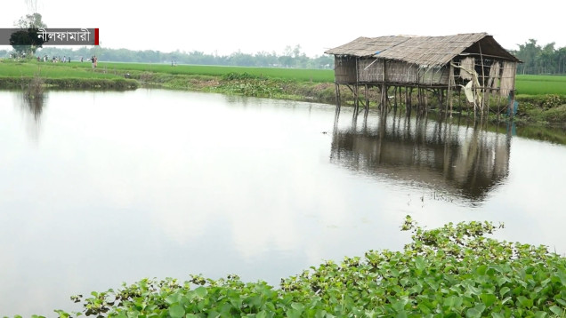নীলফামারীতে দুই পক্ষের বিরোধে আটকা খাল সংস্কার | Nilphamari | NEWS24