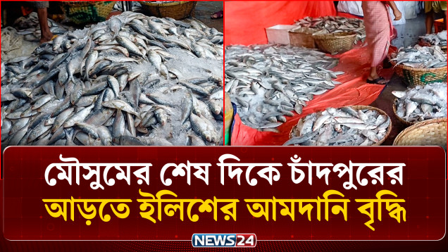 আমদানি বৃদ্ধিতে কিছুটা কমল ইলিশের দাম | Chandpur | Hilsa | NEWS24