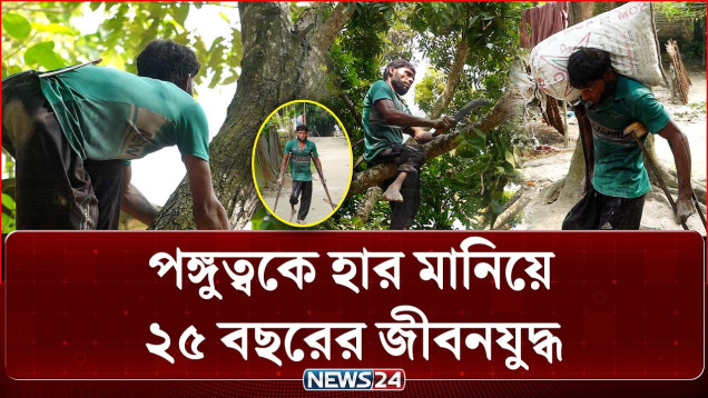 এক পায়ে গাছে উঠেই ৬ জনের সংসার চালান 'বৃক্ষ মানব' একরামুল! | NEWS24 Special