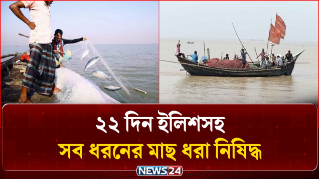 পদ্মা-মেঘনায় ২২ দিন ইলিশসহ সব ধরনের মাছ ধরা নিষিদ্ধ | Mother Hilsa | NEWS24