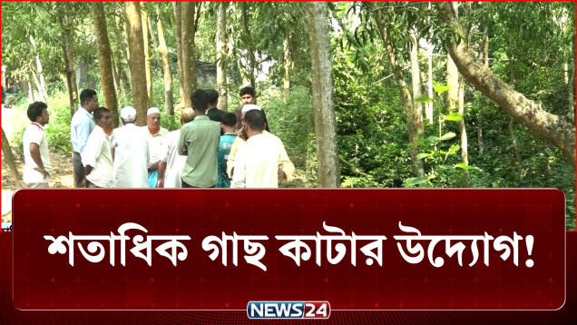 হবে ভূমি অফিস, কাটতে হবে শতাধিক গাছ, কেন বেছে নেয়া হলো এই স্থান? | Crime | Tree | NEWS24