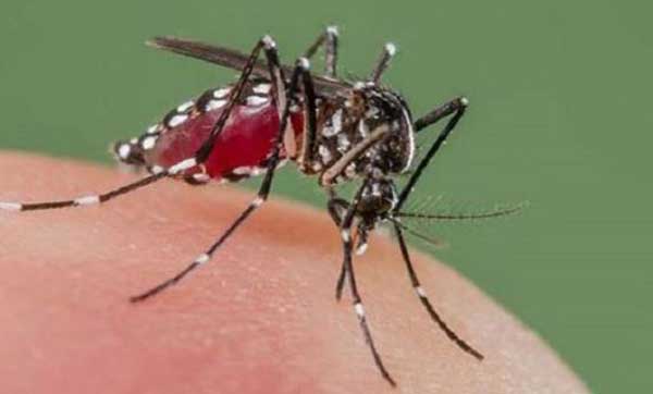 ডেঙ্গুতে গেল আরও এক প্রাণ