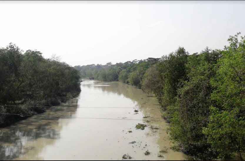 সুন্দরবন পরিদর্শনে আসছেন জাতিসংঘের চার সদস্য