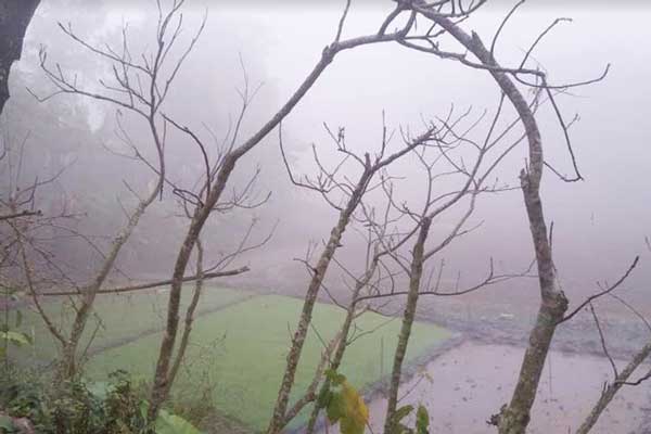 কুড়িগ্রামে বেড়েছে শীতের তীব্রতা 