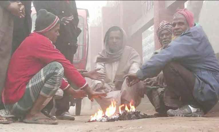 উত্তরবঙ্গে শীতে মরছে মুরগী, বাড়ছে রোগবালাই