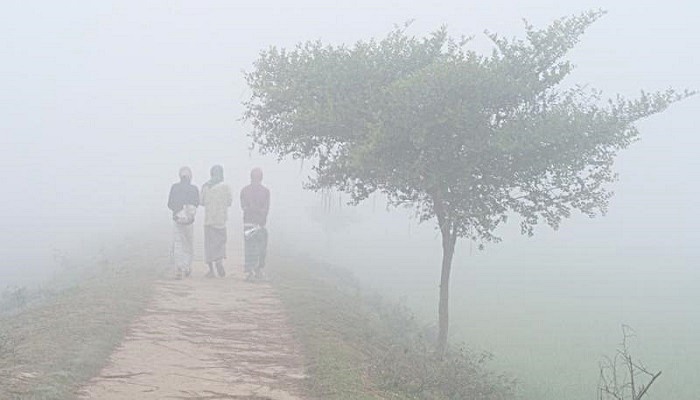 ঘন কুয়াশার সঙ্গে ঝিরঝির বৃষ্টি শুরু 