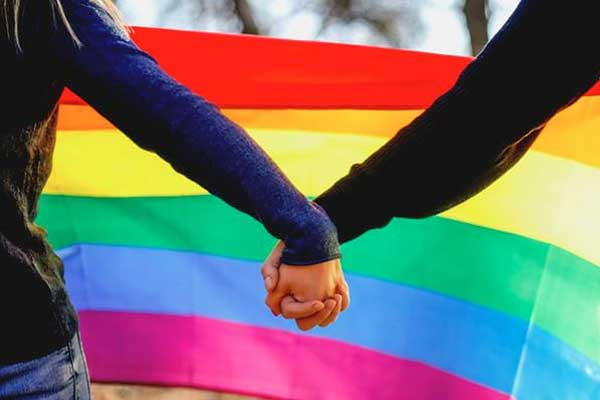 Vaginada prezervativsiz Bumblebees kamming porno