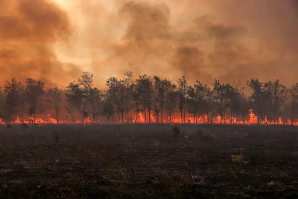 ইতিহাসে উষ্ণতম বছর ছিল ২০২৩